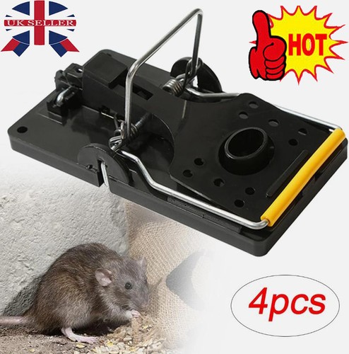 Large rat trap mouse - rat,