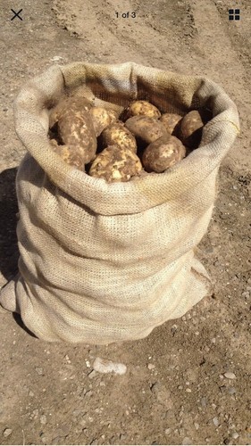 Large hessian 50cm x 80cm - large,