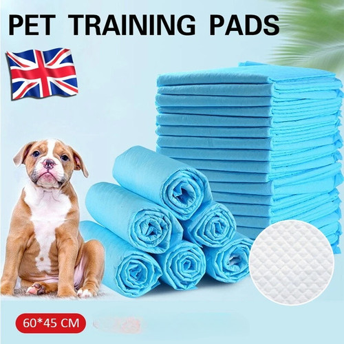 100 200x large puppy pet - 50/100/200x,