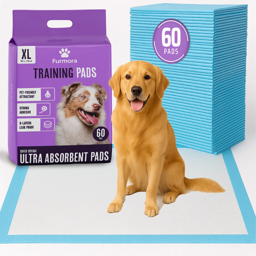 Large puppy training - x-large,