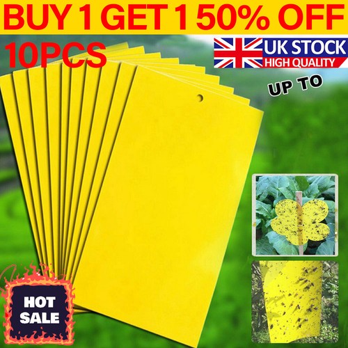 Large insect sticky fly - 10,
