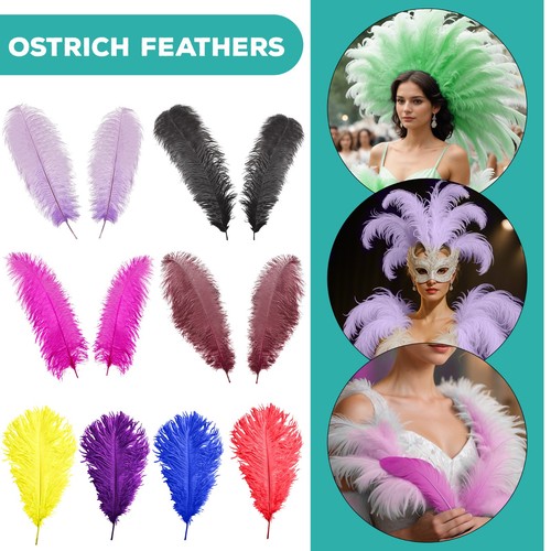 10x large ostrich - large, feathers