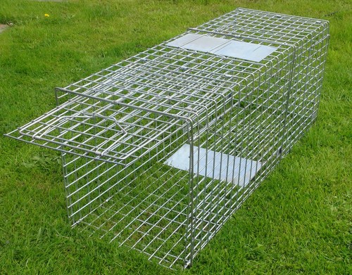 Inch large portable dog - x-large,