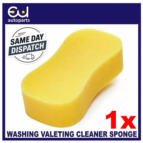 Large size sponge - large,
